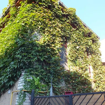 Center Duplex In Green Apartament