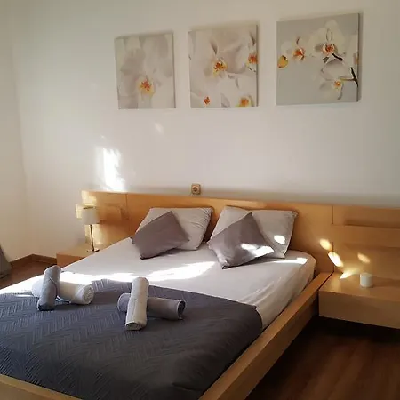 Apartament Center Duplex In Green *