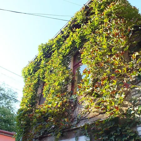 Center Duplex In Green *